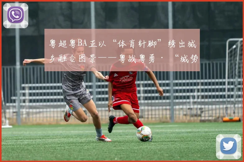粤超粤BA正以“体育针脚”绣出城乡融合图景——粤战粤勇· “城势”观察