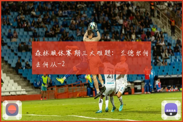 森林狼休赛期三大难题:兰德尔何去何从
