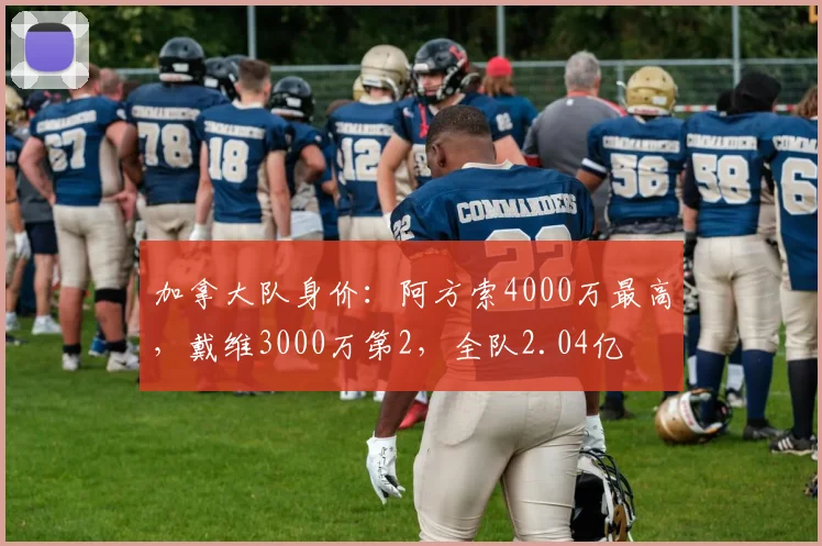加拿大队身价：阿方索4000万最高，戴维3000万第2，全队2.04亿