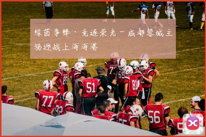 绿茵争锋·竞逐荣光 - 成都蓉城主场迎战上海海港