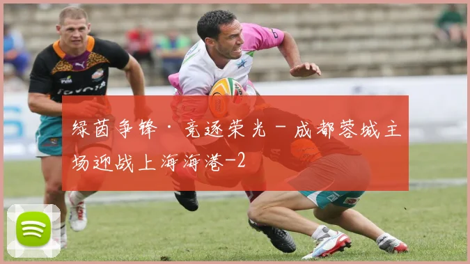 绿茵争锋·竞逐荣光 - 成都蓉城主场迎战上海海港