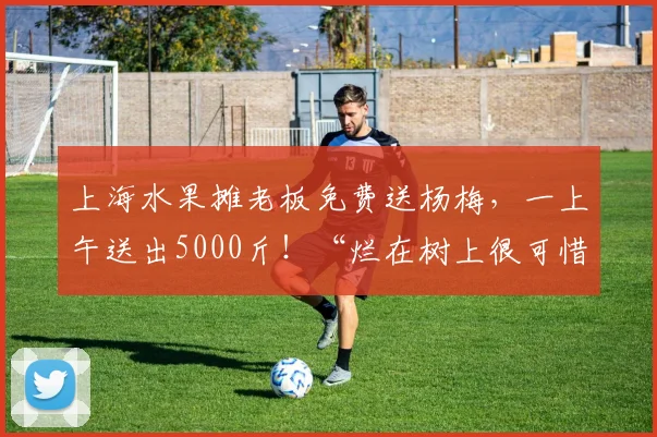 上海水果摊老板免费送杨梅，一上午送出5000斤！“烂在树上很可惜，都有检测证书的”