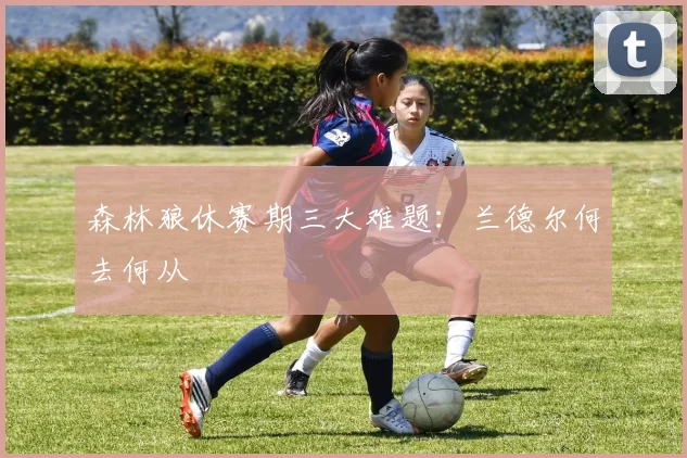 森林狼休赛期三大难题：兰德尔何去何从
