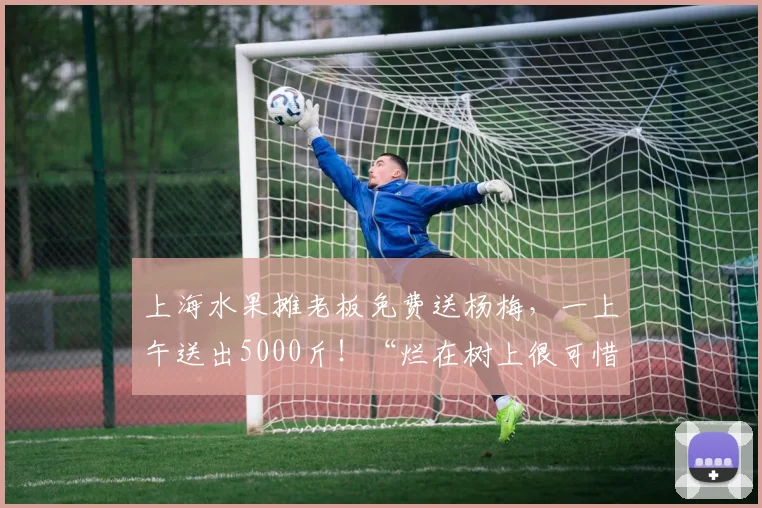上海水果摊老板免费送杨梅，一上午送出5000斤！“烂在树上很可惜，都有检测证书的”
